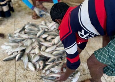 Ibrahim Working at the Alipur Fish Docks and Market – Bangladesh - Photo Credit: IbraDan Creative