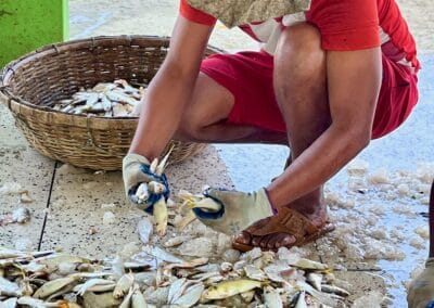 Ibrahim Working at the Alipur Fish Docks and Market – Bangladesh - Photo Credit: IbraDan Creative