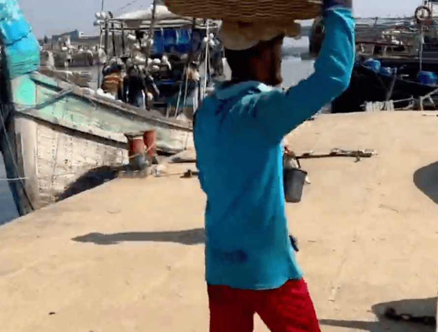 Loading Fish Baskets – Alipur Fish Docks