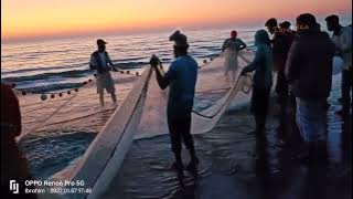 Traditional Fishing in Bangladesh: Sunset Net Fishing at Cox’s Bazar Beach